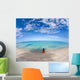 Hawaii, Woman Laying On The Beach In Remote Tropical Location Wall Mural