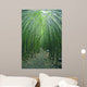 Hawaii, Maui, Bamboo Forest Wall Mural