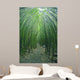 Hawaii, Maui, Bamboo Forest Wall Mural