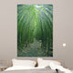 Hawaii, Maui, Bamboo Forest Wall Mural