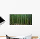 Hawaii, Maui, Bamboo Forest Wall Mural