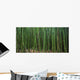Hawaii, Maui, Bamboo Forest Wall Mural