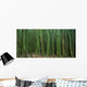 Hawaii, Maui, Bamboo Forest Wall Mural