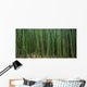 Hawaii, Maui, Bamboo Forest Wall Mural
