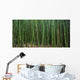 Hawaii, Maui, Bamboo Forest Wall Mural