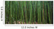 Hawaii, Maui, Bamboo Forest Wall Mural