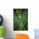 Hawaii, Maui, Bamboo Forest Wall Mural