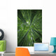 Hawaii, Maui, Bamboo Forest Wall Mural