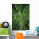 Hawaii, Maui, Bamboo Forest Wall Mural