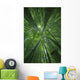 Hawaii, Maui, Bamboo Forest Wall Mural