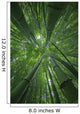 Hawaii, Maui, Bamboo Forest Wall Mural