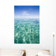 Hawaii, White Cloud Over Turquoise Water Wall Mural