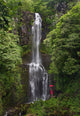 Woman Stands With Umbrella At Wailua Falls Surrounded By Foliage Wall Mural