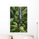 Beautiful Afternoon Light On Waterfall Wall Mural