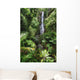Beautiful Afternoon Light On Waterfall Wall Mural