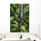 Beautiful Afternoon Light On Waterfall Wall Mural