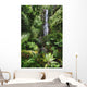 Beautiful Afternoon Light On Waterfall Wall Mural