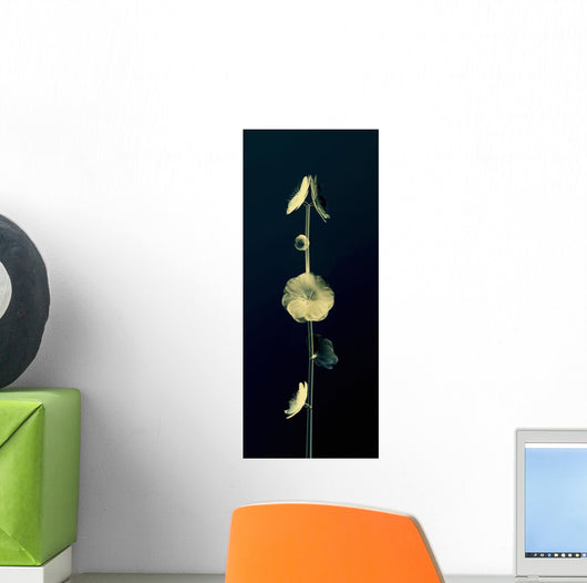 Sheer Representation Of Flowers And Stem On Black Background Wall Mural