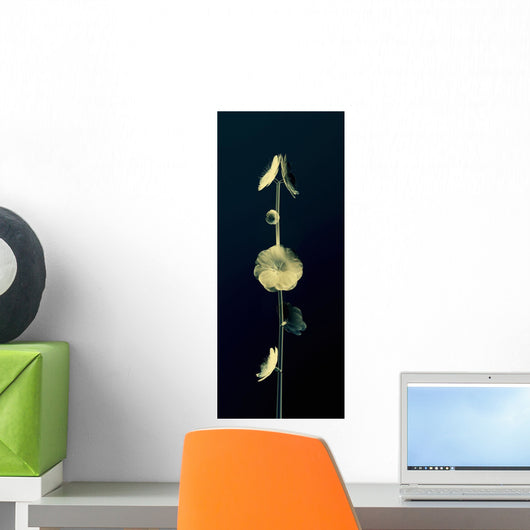 Sheer Representation Of Flowers And Stem On Black Background Wall Mural