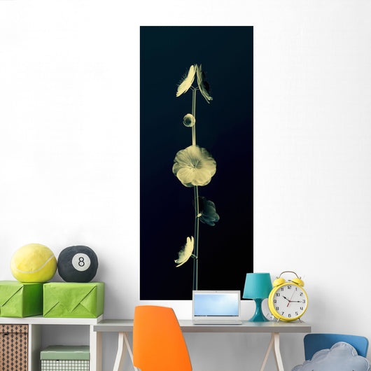 Sheer Representation Of Flowers And Stem On Black Background Wall Mural