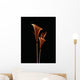 Botanical Study 5, Sheer Representation Of Flowers On Black Background Wall Mural