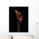 Botanical Study 5, Sheer Representation Of Flowers On Black Background Wall Mural