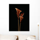 Botanical Study 5, Sheer Representation Of Flowers On Black Background Wall Mural