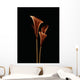 Botanical Study 5, Sheer Representation Of Flowers On Black Background Wall Mural