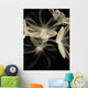 Botanical Study 4, Sheer Representation Of Flowers On Black Background Wall Mural