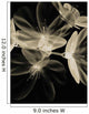 Botanical Study 4, Sheer Representation Of Flowers On Black Background Wall Mural