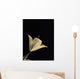 Botanical Study 3, Sheer Representation Of Flower On Black Background Wall Mural