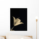 Botanical Study 3, Sheer Representation Of Flower On Black Background Wall Mural