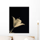 Botanical Study 3, Sheer Representation Of Flower On Black Background Wall Mural