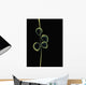 Sheer Representation Of Flowers And Stem On Black Background Wall Mural