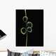 Sheer Representation Of Flowers And Stem On Black Background Wall Mural