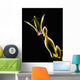 Botanical Study 1, Sheer Representation Of Flower On Black Background Wall Mural