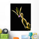 Botanical Study 1, Sheer Representation Of Flower On Black Background Wall Mural