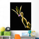 Botanical Study 1, Sheer Representation Of Flower On Black Background Wall Mural