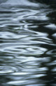 Silver Water Ripples And Light Reflections Wall Mural