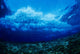 Hawaii, Underwater View Of Wave Breaking Over Coral Reef Wall Mural