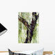 China, Beijing, Impressionistic Wind Blown Tree Wall Mural