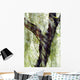 China, Beijing, Impressionistic Wind Blown Tree Wall Mural