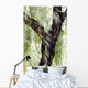 China, Beijing, Impressionistic Wind Blown Tree Wall Mural