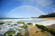 USA, Hawaii Islands, Maui, Double Rainbows Wall Mural