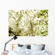 White Flower Blossoms, Blurred Abstract Wall Mural
