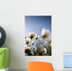 Close-Up Of Fuzzy White Flowers Reaching Toward Bright Sky Wall Mural