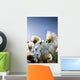 Close-Up Of Fuzzy White Flowers Reaching Toward Bright Sky Wall Mural