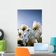 Close-Up Of Fuzzy White Flowers Reaching Toward Bright Sky Wall Mural