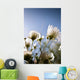 Close-Up Of Fuzzy White Flowers Reaching Toward Bright Sky Wall Mural