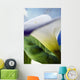 Calla Lily, Extreme Close-Up, View From Side Wall Mural